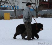 Превью фото № 202405