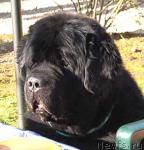 Превью фото № 20246