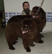 Превью фото № 202464