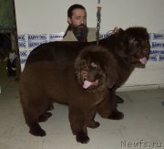 Превью фото № 202465