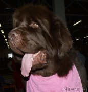 Превью фото № 202471