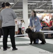 Превью фото № 202478