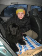 Превью фото № 202565