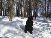 Превью фото № 202651