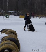 Превью фото № 202691