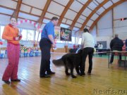 Превью фото № 202707