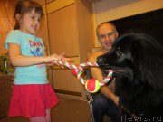 Превью фото № 202709