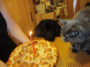 Превью фото № 202710