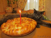 Превью фото № 202711