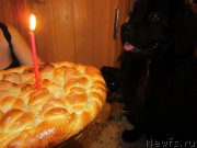 Превью фото № 202713