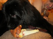 Превью фото № 202724