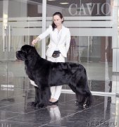 Превью фото № 202741