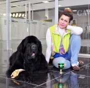 Превью фото № 202742