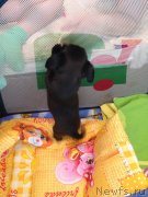 Превью фото № 202778