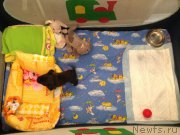 Превью фото № 202779