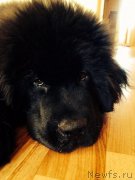 Превью фото № 202785