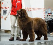 Превью фото № 202795