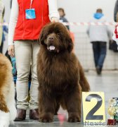 Превью фото № 202796