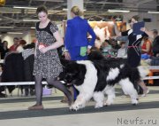 Превью фото № 202836