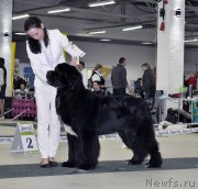 Превью фото № 202845