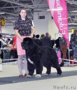 Превью фото № 202848