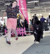 Превью фото № 202849