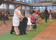 Превью фото № 202872