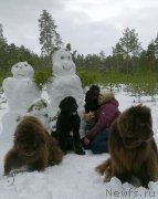 Превью фото № 202895