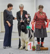 Превью фото № 202899