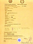 Превью фото № 202925