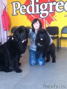 Превью фото № 202941