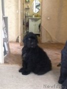 Превью фото № 202945