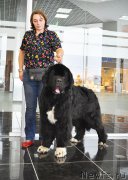 Превью фото № 202988