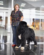 Превью фото № 202990