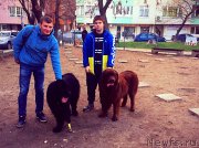 Превью фото № 203029