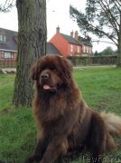 Превью фото № 203041