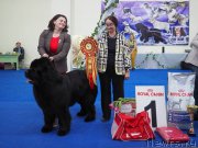 Превью фото № 203111