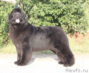 Превью фото № 203139