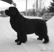 Превью фото № 203196