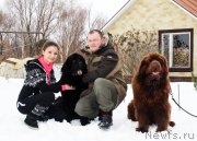 Превью фото № 203272