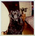 Превью фото № 20328