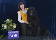 Превью фото № 203360