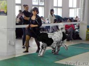 Превью фото № 203370