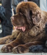 Превью фото № 203378