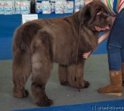 Превью фото № 203379