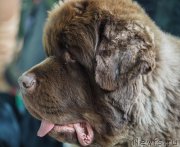 Превью фото № 203381