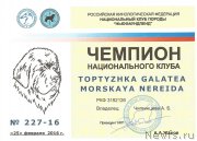 Превью фото № 203395