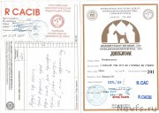 Превью фото № 203403