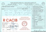 Превью фото № 203405