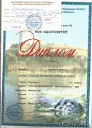 Превью фото № 203406